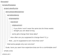 Tumblr