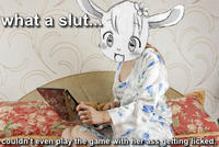 Know Your Meme Inside Jokes