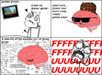 Scumbag Brain