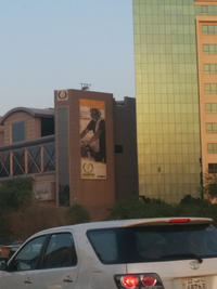 Hide The Pain Harold