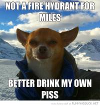 Bear Grylls / Better Drink My Own Piss