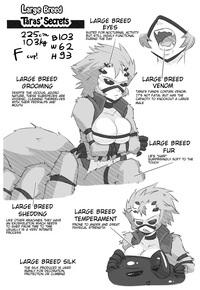 Everyday Life With Bicycle Cop