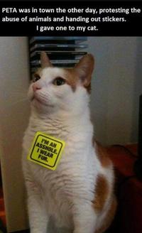 People for the Ethical Treatment of Animals (PETA)