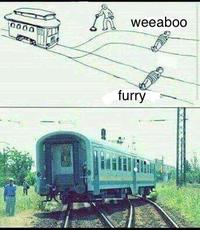 weeaboo furry rolling stock transport train track railroad car mode of transport vehicle public transport passenger car