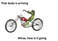 That dude is arriving, whoa how is it going, sophisticated version of the Dat Boi meme