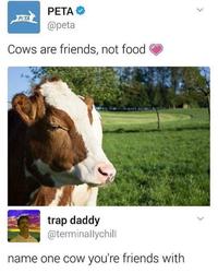 People for the Ethical Treatment of Animals (PETA)