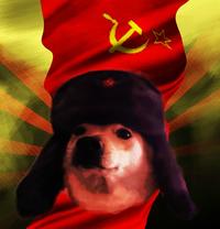 Russian Comrade Doggo meme Russian Comrade Doggo meme