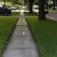 You Know I Had to Do It to Em