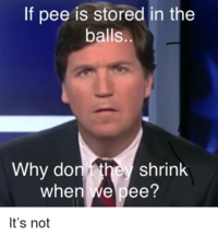 Pee Is Stored in the Balls