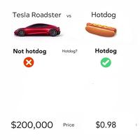 Tesla roadster VS Hotdog Tesla roadster VS Hotdog