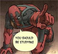 You Should Be Studying