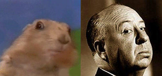 hitchcockchipmunk.jpg
