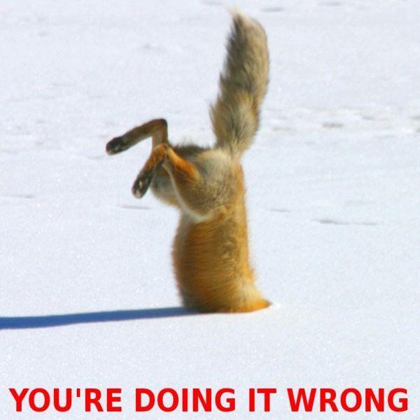 fox-doing-it-wrong.jpg