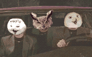 O RLY?