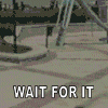 1183402411056.gif