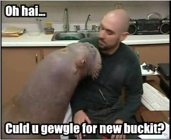 Lolrus1.jpg