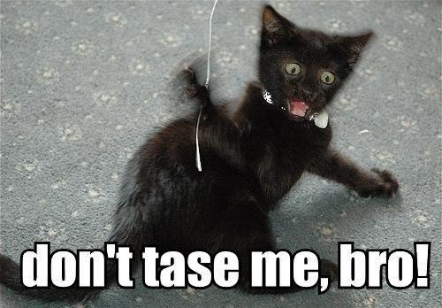 Don't Tase Me Bro!