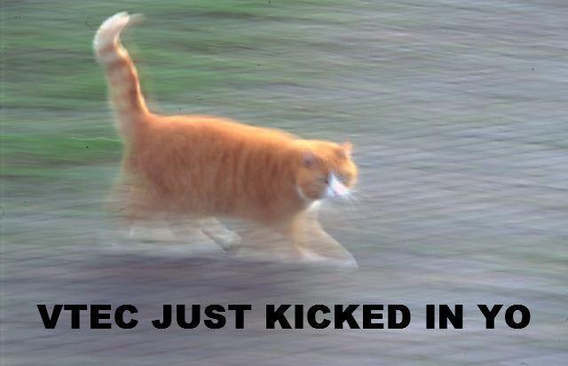 VTEC just kicked in, yo!