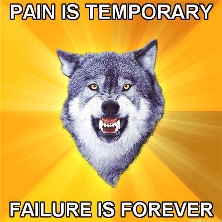 Courage Wolf