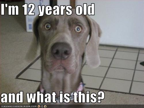I'm Twelve Years Old and What is This?