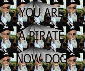 You Are A Pirate!