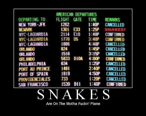 Snakes on a Plane