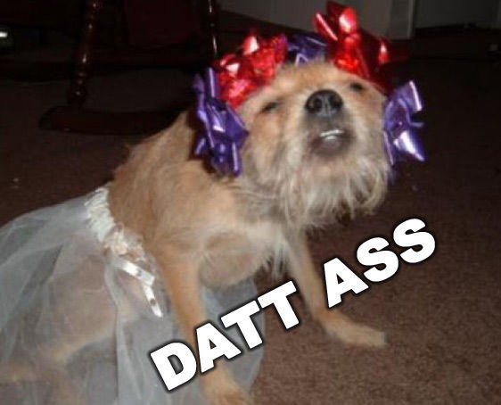 'Dat Ass