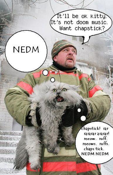 386px-NEDM.jpg