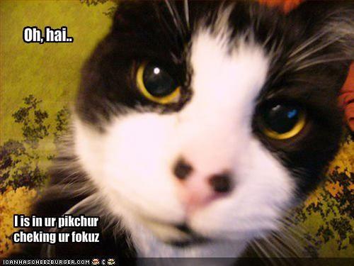 Oh__hai.jpg