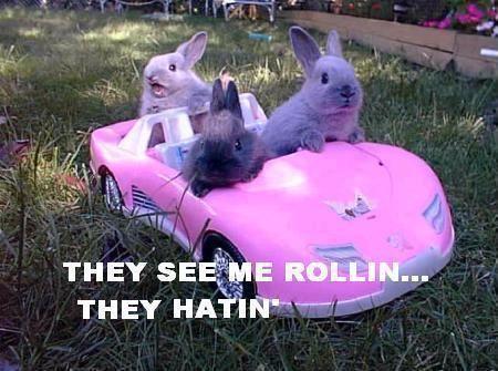 They see me rollin'