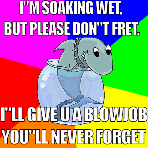 Rhyming pet Shark