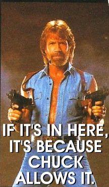 Chuck Norris Facts