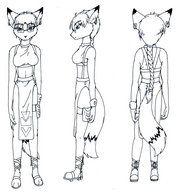 Furries