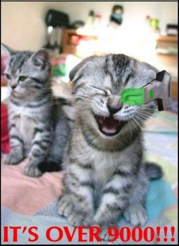 kitty9000_2.jpg