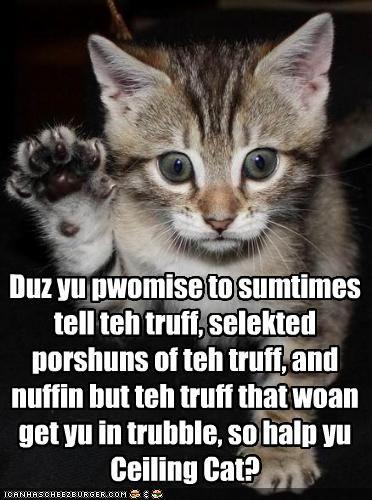 funny-pictures-kitten-takes-an-oath.jpg