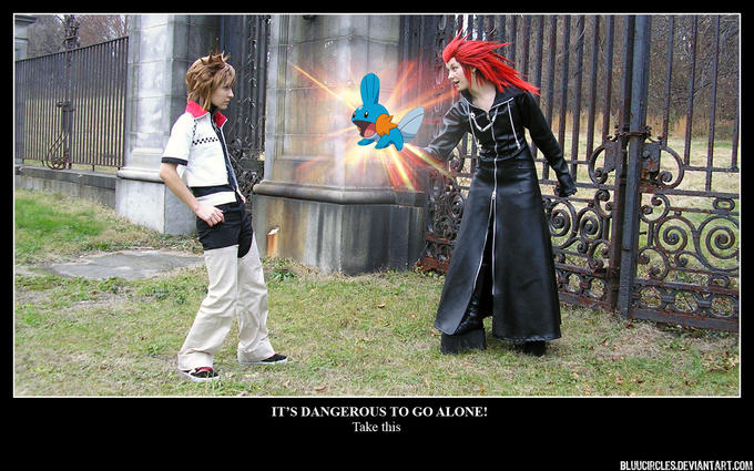 It__s_Dangerous_To_Go_Alone_by_bluucircles.jpg