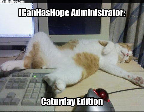 Caturday