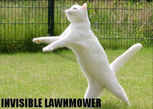 Invisible-mower.jpg