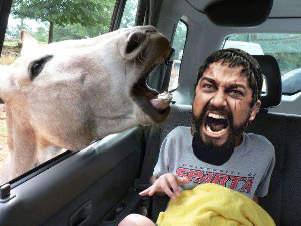 Road_trip_300.jpg