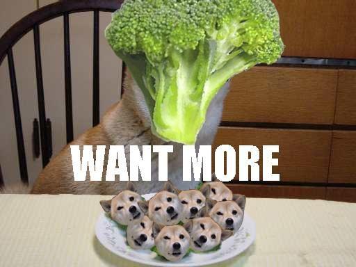 Want_more_dog.jpg