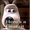 The Llama Song