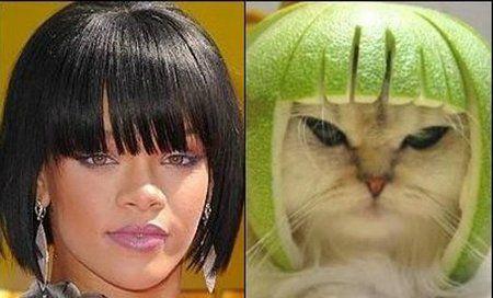 funny-twins03.jpg