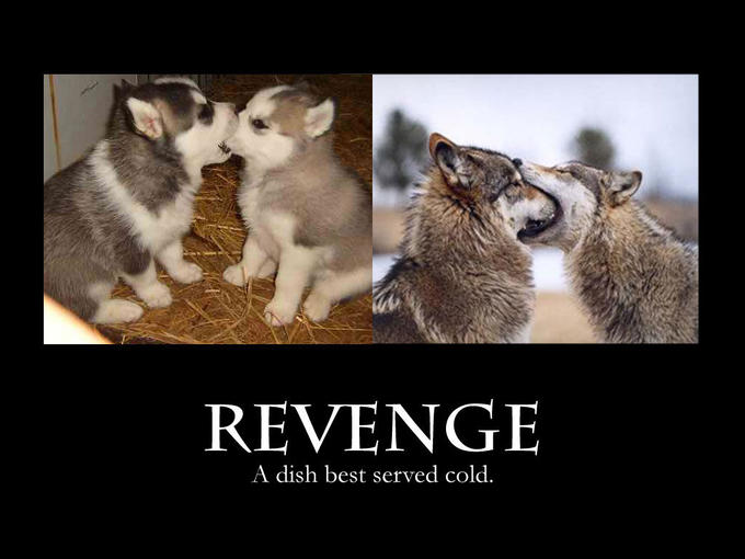 Demotivational Posters