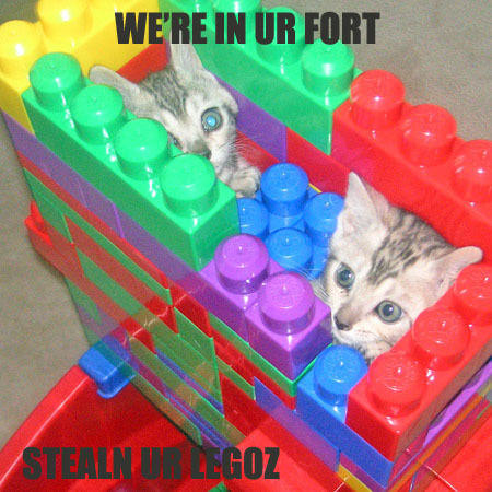 seehere.blogspot.com_20cats_20_50_.jpg