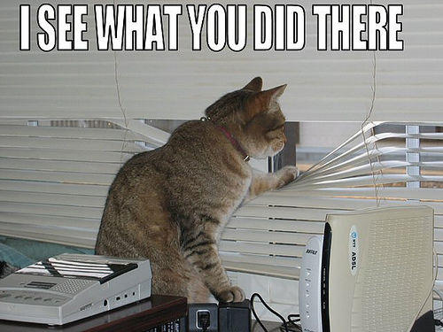 seehere.blogspot.com_20cats_20_61_.jpg