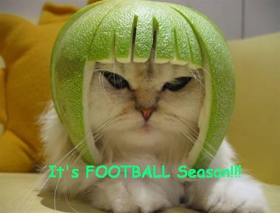Limecat