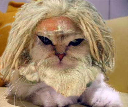 Limecat