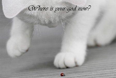 Where is your god now?