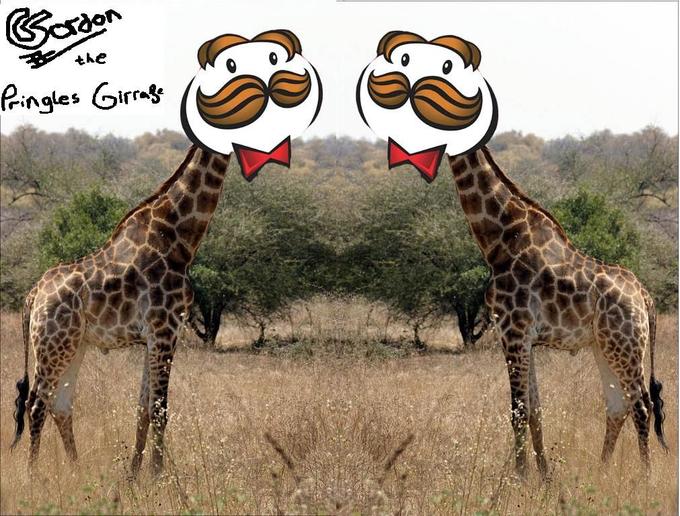 Gordon.jpg