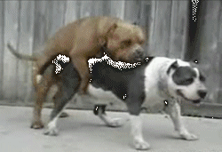 Force Push/Obi-Wan Hates